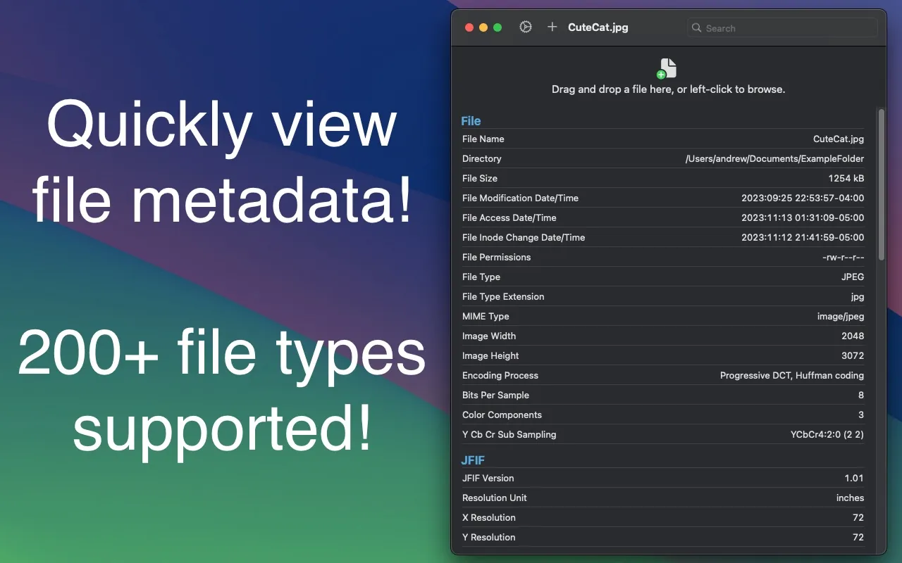 Screenshot of File Metadata