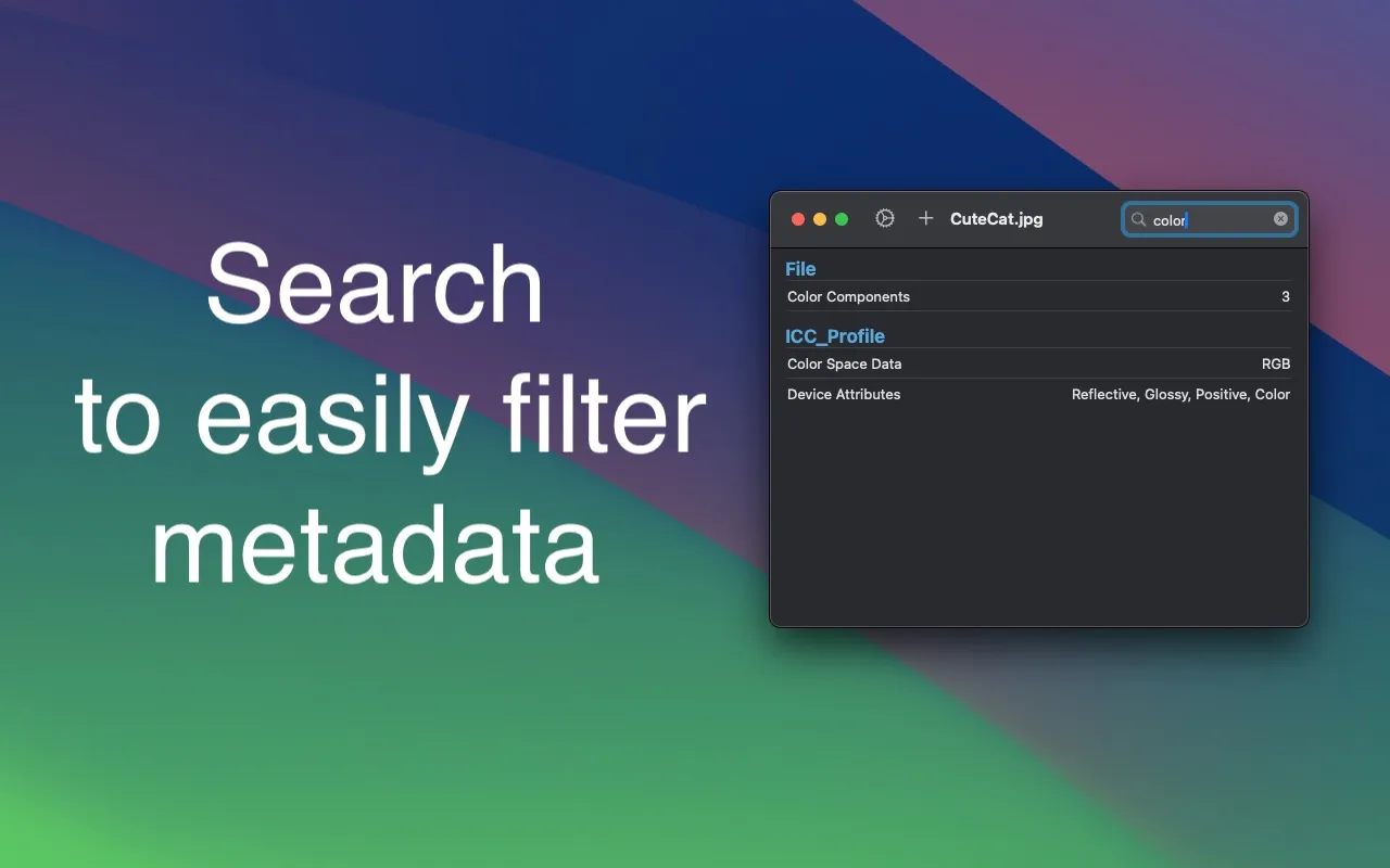 Screenshot of File Metadata